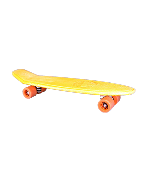 Skate Board